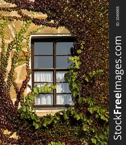 Old entwined window of a bavarian baroque castle