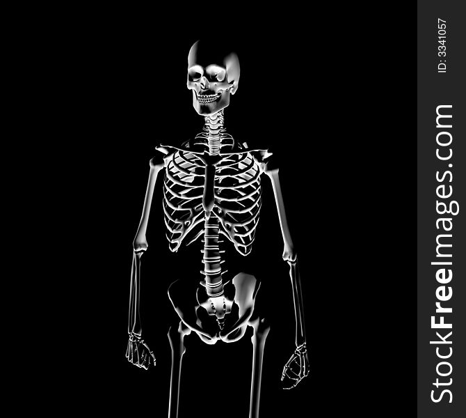 Illustration: skeleton to the x-ray. Illustration: skeleton to the x-ray