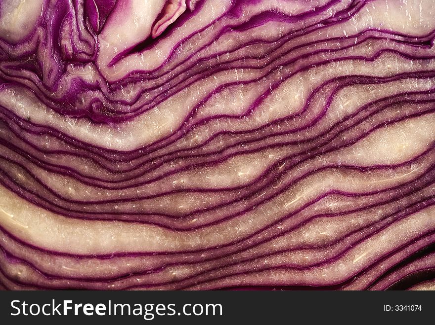 Red cabbage close-up detail