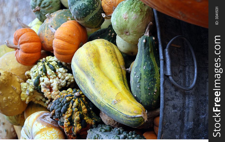 A metal bin filled with a variety of colorful gourds harvested in the fall. A metal bin filled with a variety of colorful gourds harvested in the fall.