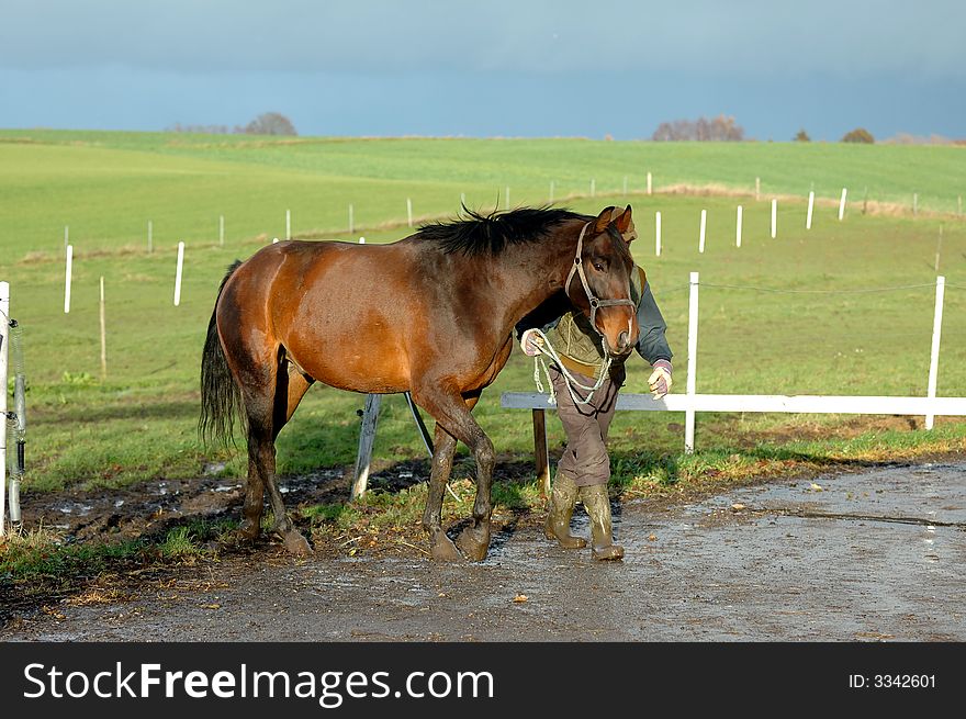 A man is walking with his horse. A man is walking with his horse