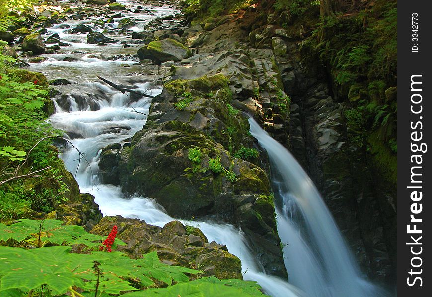 The beautiful Sol Duc Falls in Olympic National Park, WA, USA. The beautiful Sol Duc Falls in Olympic National Park, WA, USA