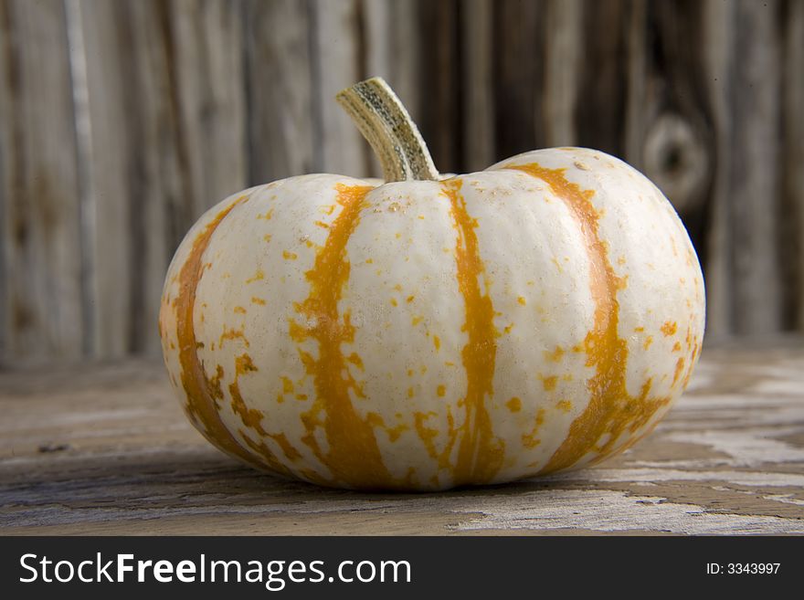 Close-up of a single white pumpkin. Close-up of a single white pumpkin