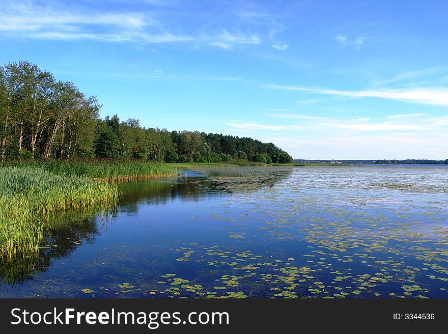 Picture of the lake and forest, taken in Riga