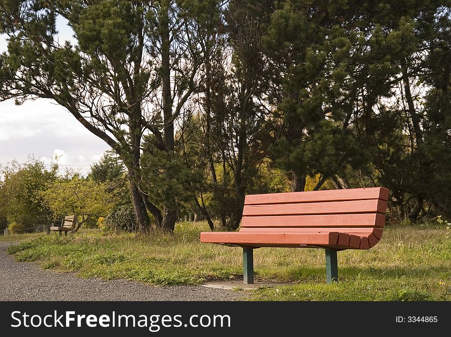 A red bench on a walking path in a public park. A red bench on a walking path in a public park