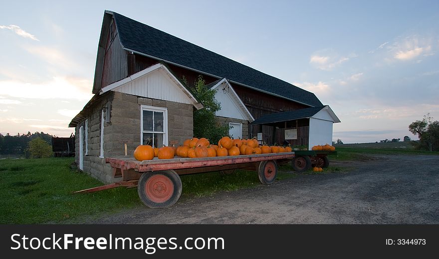 Orange pumkins on a cart at a farm stand, at dawn. Orange pumkins on a cart at a farm stand, at dawn