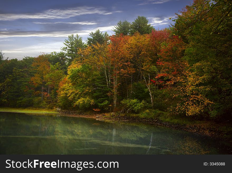 Lakeside landscape with reflecting trees on water. Lakeside landscape with reflecting trees on water