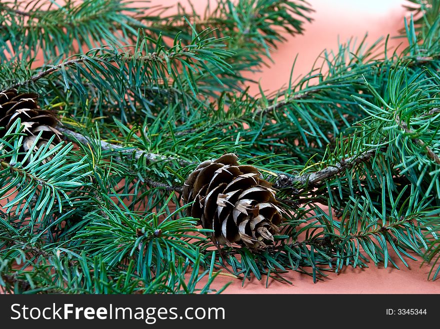 A christmas decoration-pine tree.