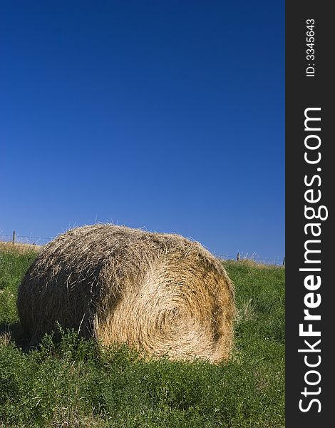 Roll of Hay