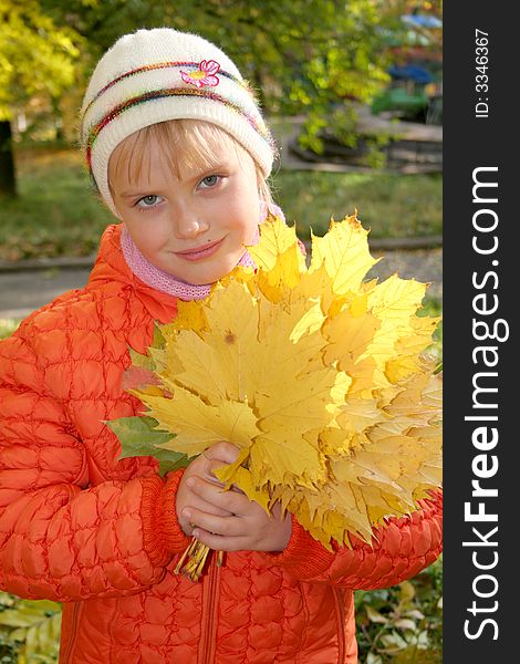 Girl with autumn leafs in hands. Girl with autumn leafs in hands