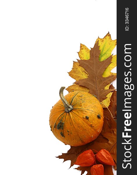 Pumpkins and gourds on isolated on white background with fall leaves frame