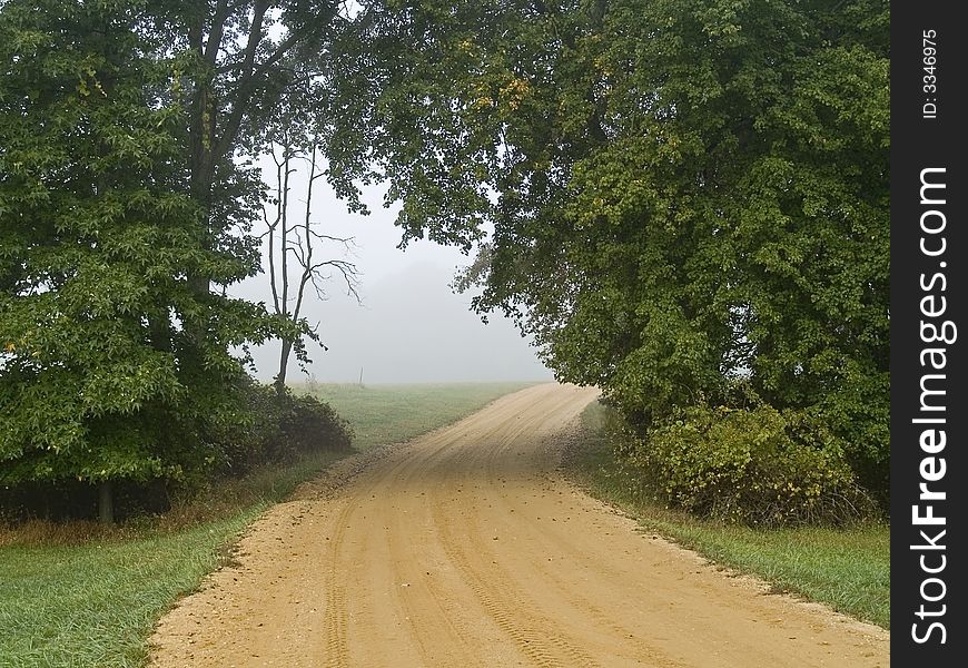 A dirt road leads through the woods on a foggy morning.