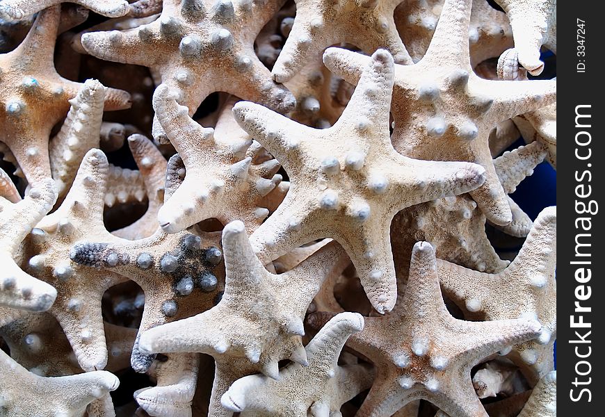 Starfishes from the Mediterranean which can be used as a background