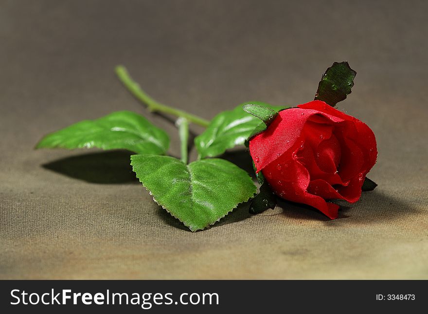 Photo of a Red Fabric Rose - Flora Related