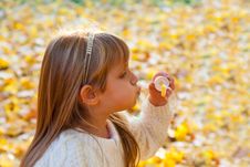 Little Girl Blowing Soap Bubbles Royalty Free Stock Photography Little Girl Blowing Soap Bubbles Royalty Free Stock Photography