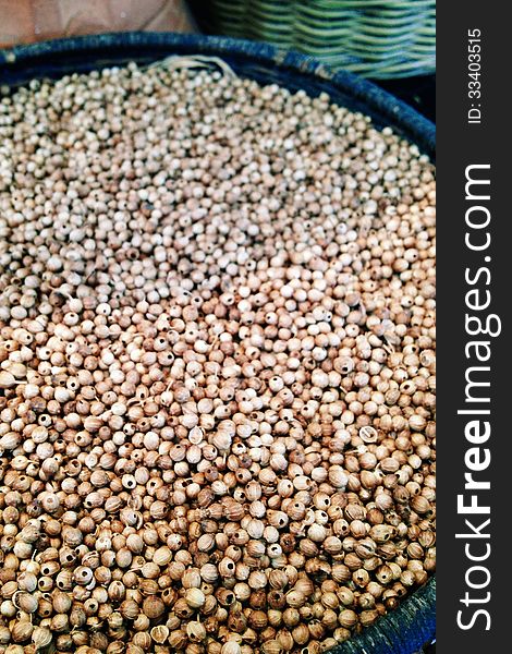 Coriander Seed