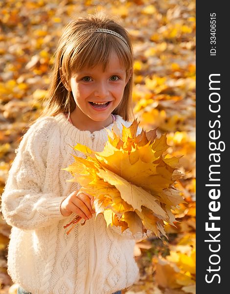 Adorable little girl with autumn leaves in the beauty park