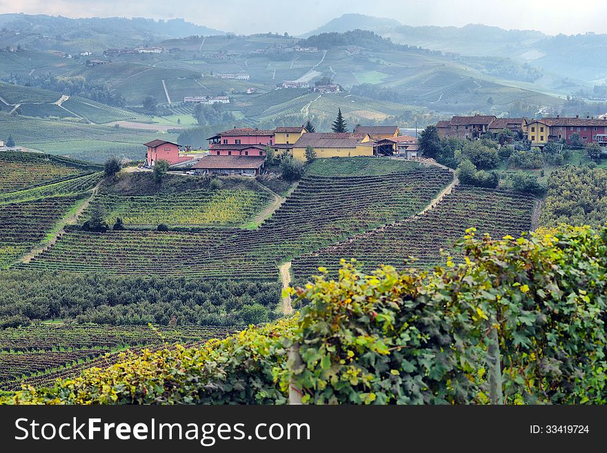 Panorama of vineyards in autumn in northern Italy