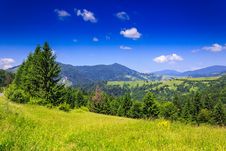 Mountain View From Green Meadow In Summer Stock Image Mountain View From Green Meadow In Summer Stock Image
