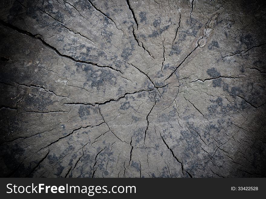 Old wood dirty texture. Abstract background. Old wood dirty texture. Abstract background.