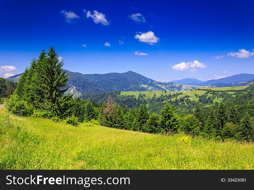 Green meadow with trees in front of a mountain view on serene summer day. Green meadow with trees in front of a mountain view on serene summer day