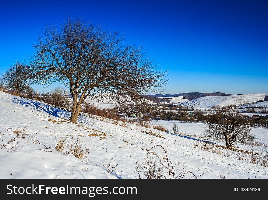 Bare trees on a snow-covered hillside near the village in the mountains, under the frosty blue sky. Bare trees on a snow-covered hillside near the village in the mountains, under the frosty blue sky