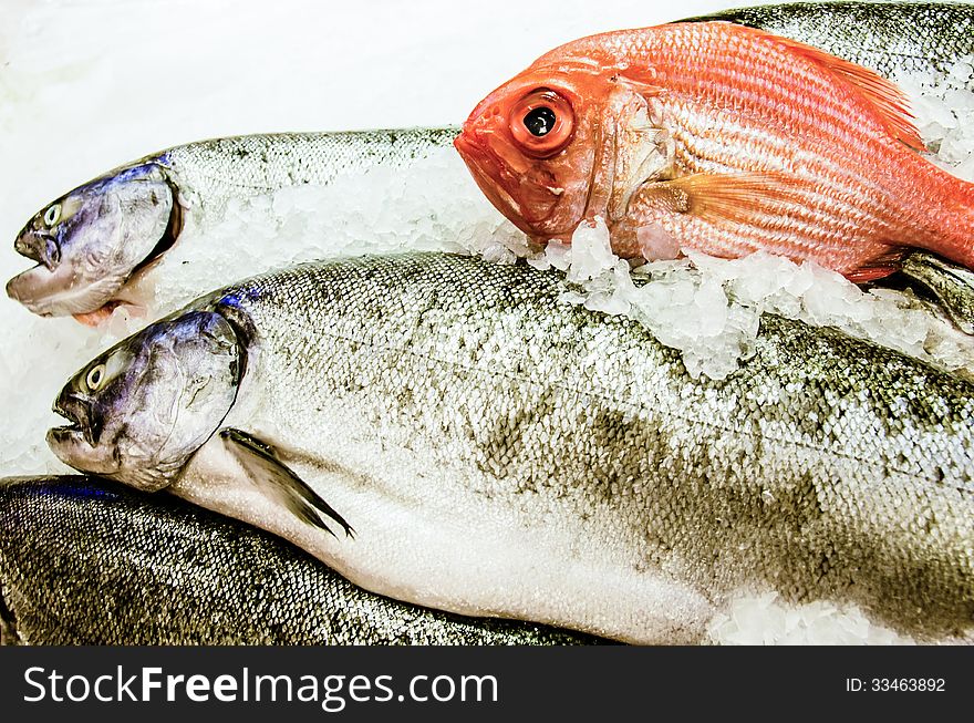 Closeup of fresh fish on a bed of ice for sale including red snapper. Closeup of fresh fish on a bed of ice for sale including red snapper.