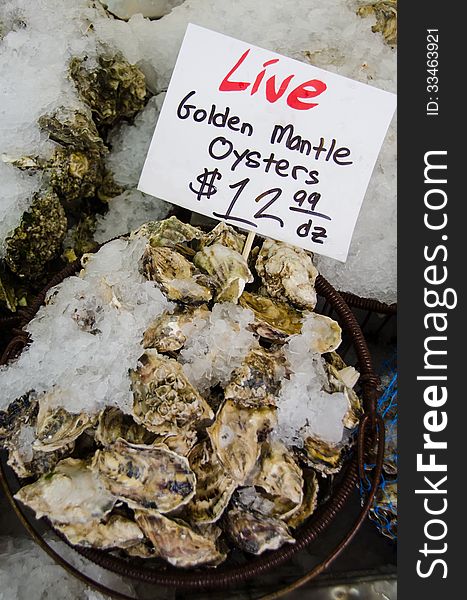 Close-up of fresh raw oysters on ice for sale at a fish market. Close-up of fresh raw oysters on ice for sale at a fish market.