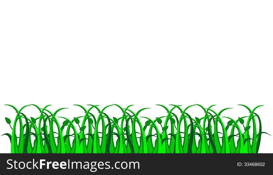 Grass, Vector