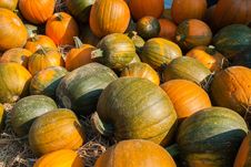 Colorful Pumpkins For Halloween Scary Jack Royalty Free Stock Photos