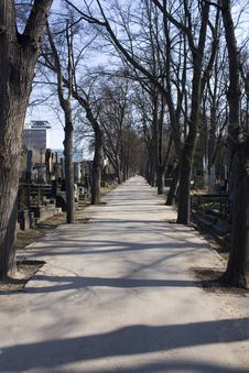 Cemetery Royalty Free Stock Image Cemetery Royalty Free Stock Image