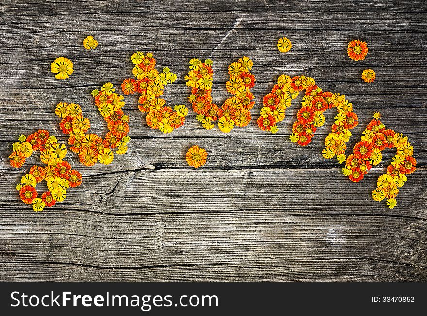 Word from flowers on wooden background. Word from flowers on wooden background