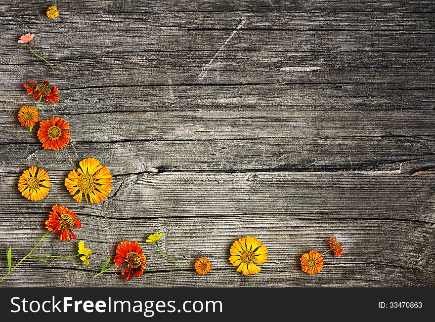 Autumn flowers on fooden background