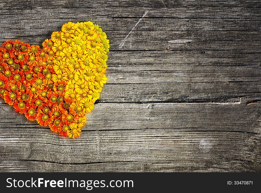 Flower heart on wooden background