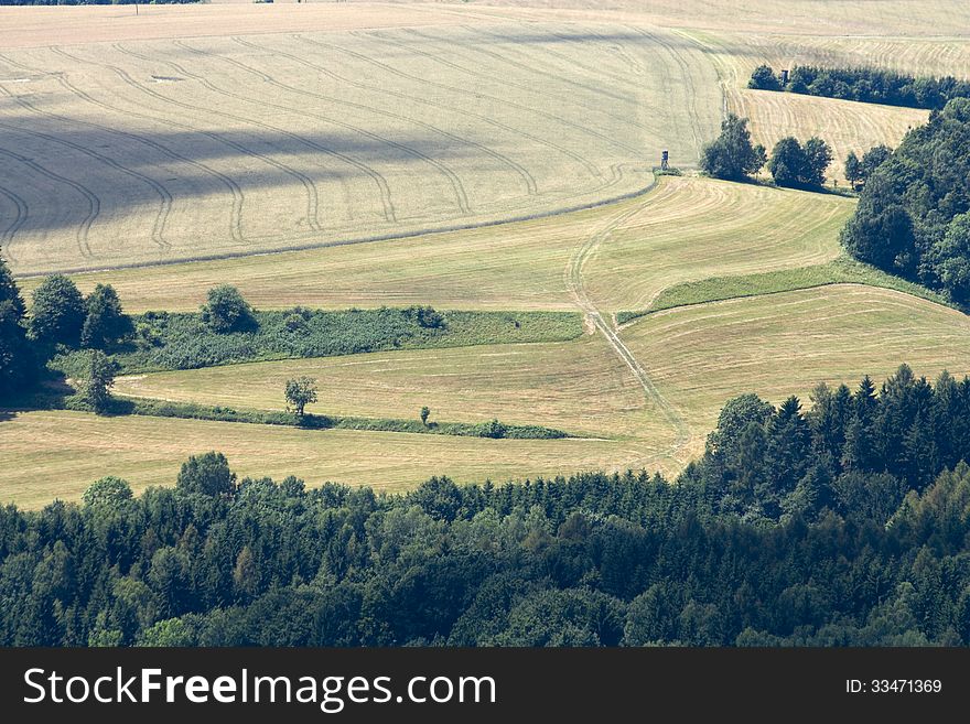 Landscape with field and forest. Landscape with field and forest