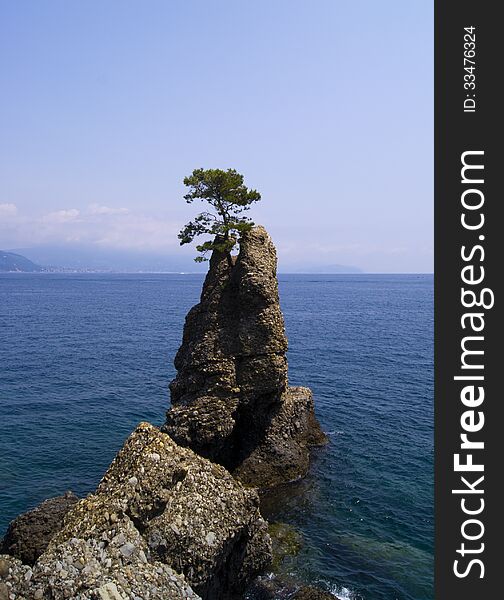 Portofino natural regional park. Liguria, Italy. Portofino natural regional park. Liguria, Italy