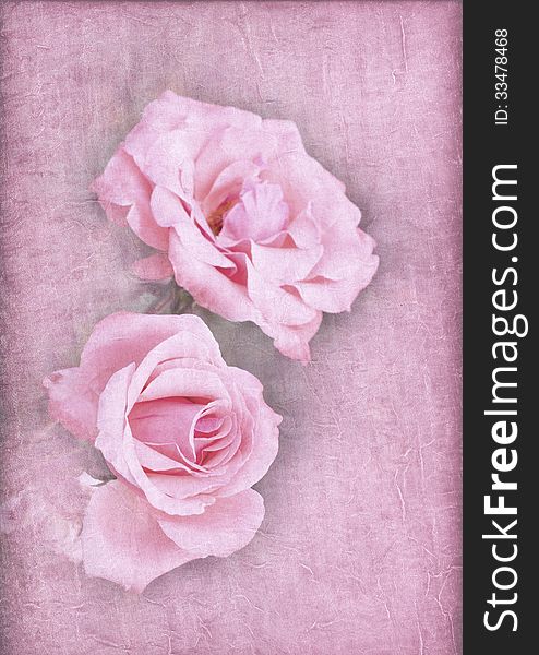 Pink Roses On A Textured Pink Background