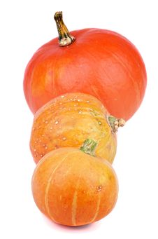 Three Pumpkins Royalty Free Stock Images Three Pumpkins Royalty Free Stock Images