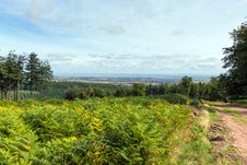 View From The Quantock Hills Somerset England Towards Bristol Channel Stock Image View From The Quantock Hills Somerset England Towards Bristol Channel Stock Image