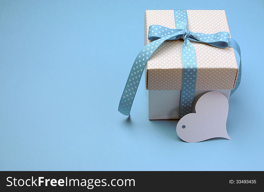 Pale Blue Polka Dot Gift