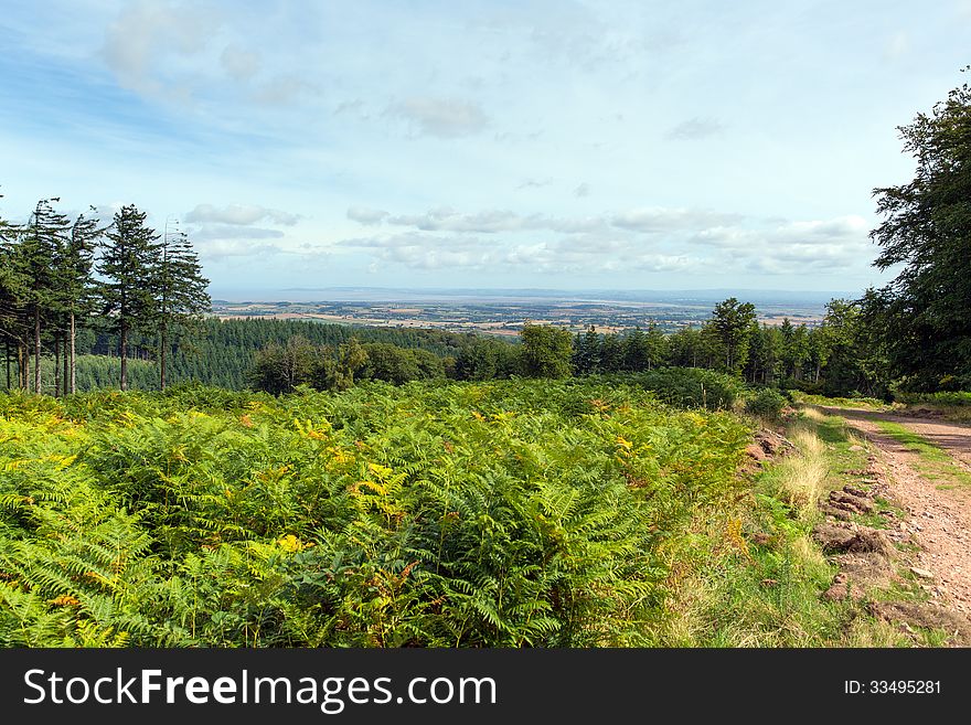 View from the Quantock Hills Somerset England views towards Bristol Channel UK