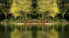Tree Reflections Stock Photography Tree Reflections Stock Photography