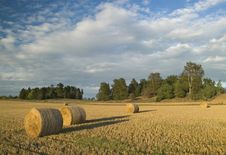 Harvest In Sweden Royalty Free Stock Photography Harvest In Sweden Royalty Free Stock Photography