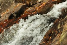 Rushing Mountain Stream Royalty Free Stock Photography