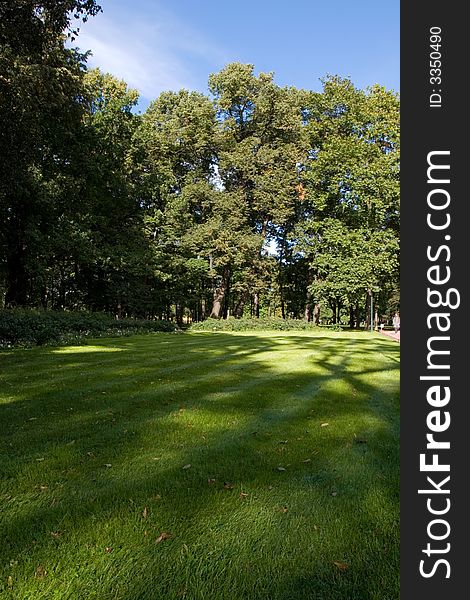 City park in Saint Petersburg (Russia) at summer time