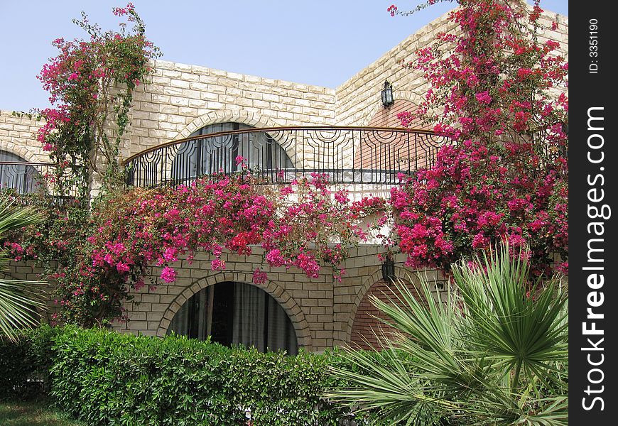 Small hotel from a white stone in red flowers.