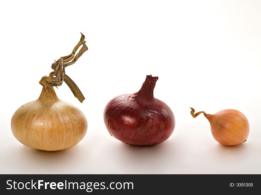 Three juicy bulbs on a table white background. Three juicy bulbs on a table white background