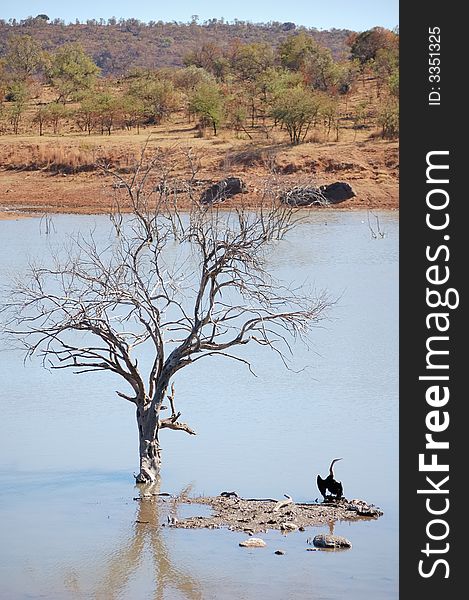 View over a water hole in a game reserve. View over a water hole in a game reserve