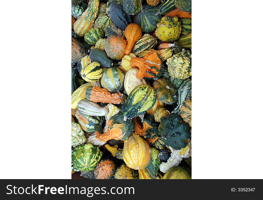 A huge pile of freshly picked gourds from a local farm in fall.