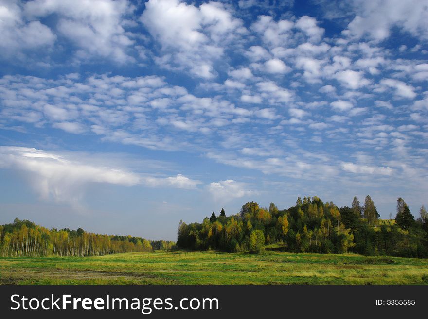Autumn Landscape green grass, blue sky , white clouds and trees